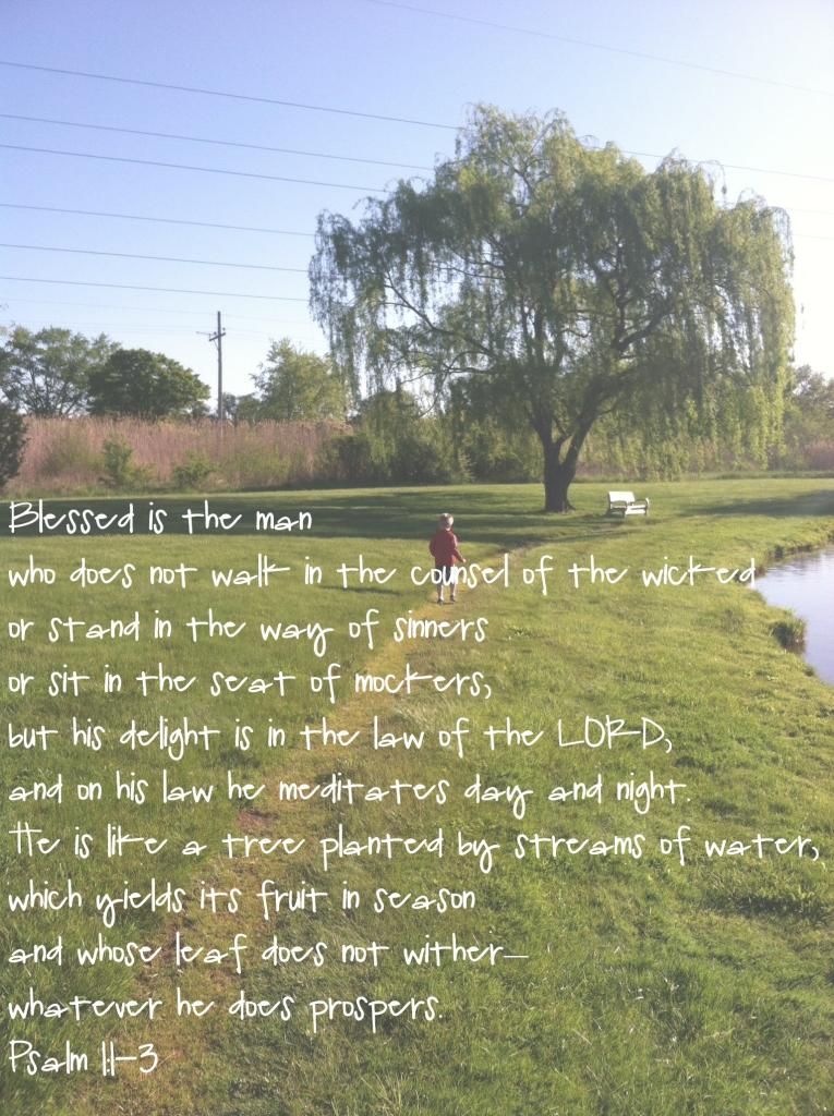 Bible verse over a picture of a willow